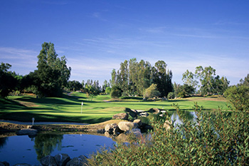 creek in front of green